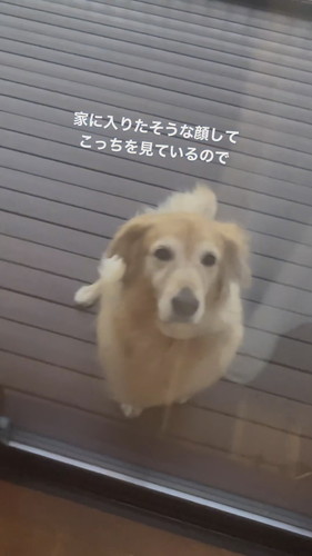 入りたそうなハルちゃん