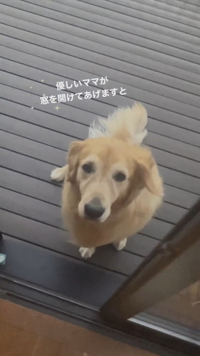 ママが開けてあげると
