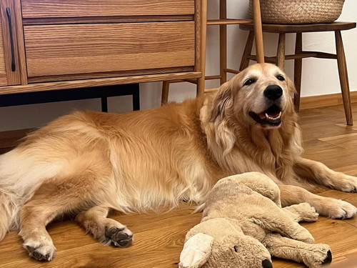 まったりハルちゃん