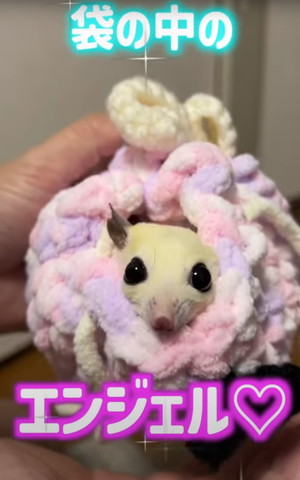 袋の中のエンジェル