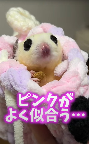 ピンクがよく似合う