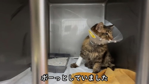 ボーッとしていた