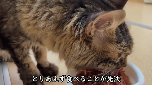 食べることが先決