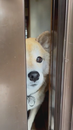 短時間でも離れたくないえまちゃん