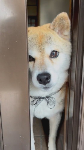 短時間でも離れたくないえまちゃん