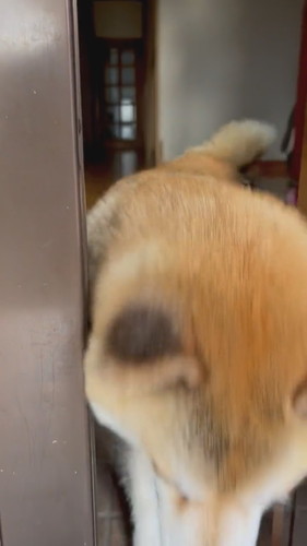 短時間でも離れたくないえまちゃん