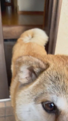 短時間でも離れたくないえまちゃん