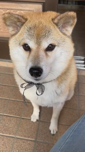 短時間でも離れたくないえまちゃん