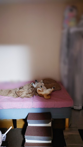 「飼い主の出勤を全く見送る気がなかった犬2023」