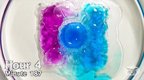 タイムラプス　ジェルボール　洗剤