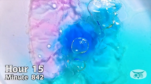 タイムラプス　ジェルボール　洗剤