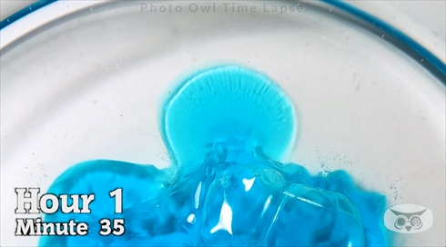 タイムラプス　ジェルボール　洗剤