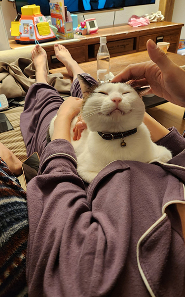 休日の過ごし方