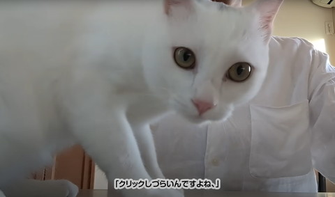 クリックしづらいんですよね