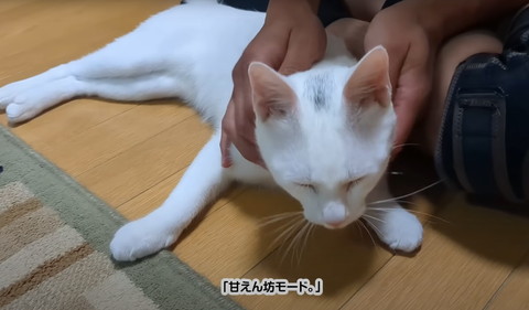 甘えん坊モード