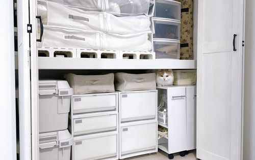 隙間に入った猫