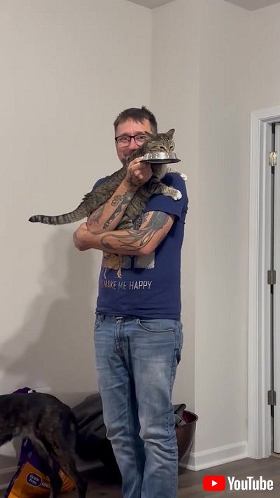 猫と夫