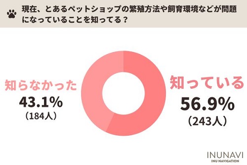 ペットショップ生体販売
