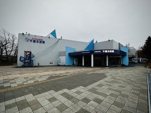 鮭かっさばポーチ04