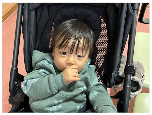 あいのり・桃の次男