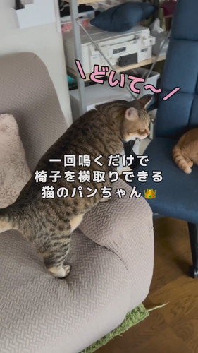 パンちゃんの一声