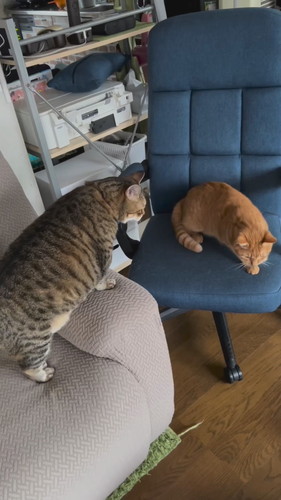 パンちゃんの一声