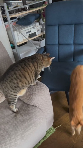 パンちゃんの一声