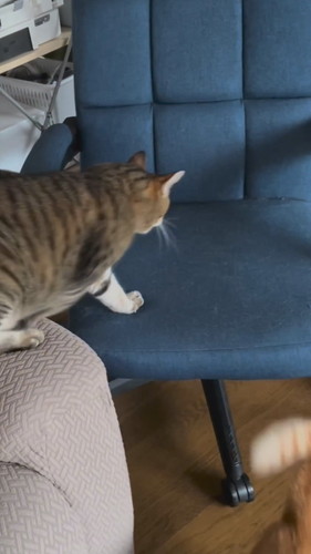 パンちゃんの一声