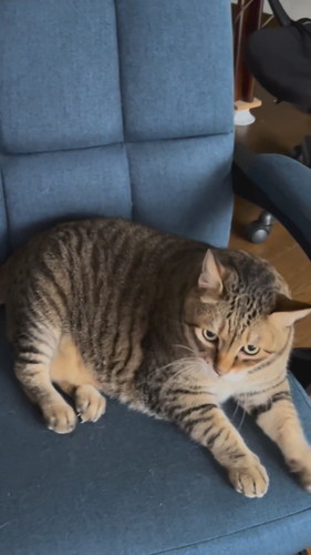 パンちゃんの一声