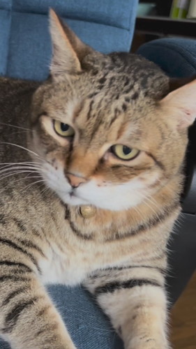 パンちゃんの一声