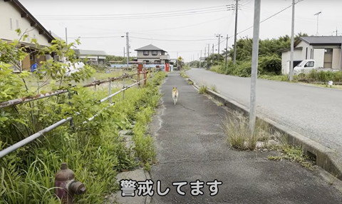 警戒してますテロップ