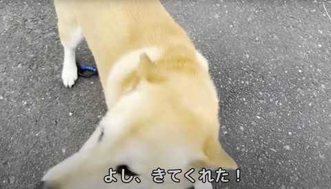 よしきてくれた