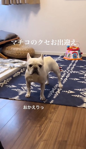 おかえりっ
