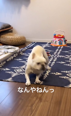 なんやねんっ