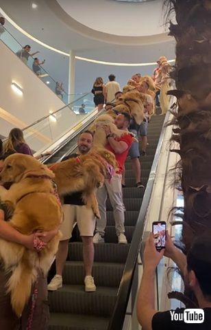 幸せそうな犬と人
