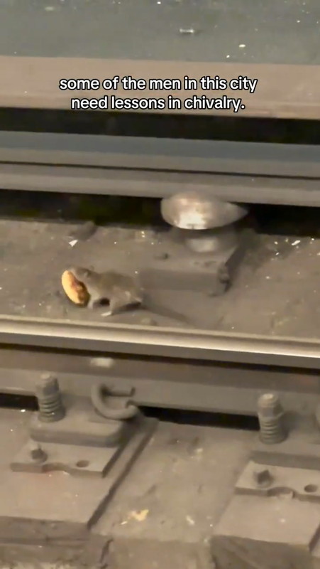 ドーナツをくわえたネズミ