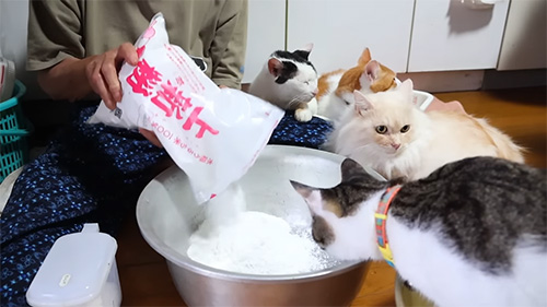 お団子作るおばあちゃんと猫