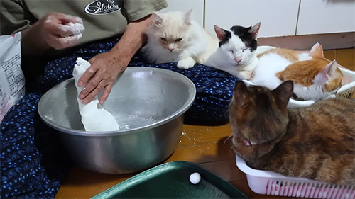 お団子を丸めるおばあちゃん