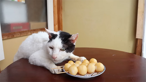 ちびさんとお団子