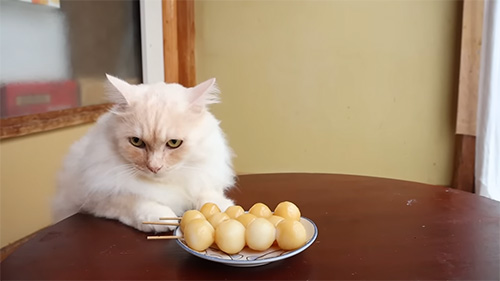 もふもふさんとお団子