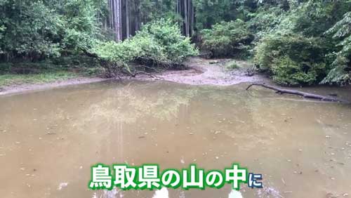 おすすめ