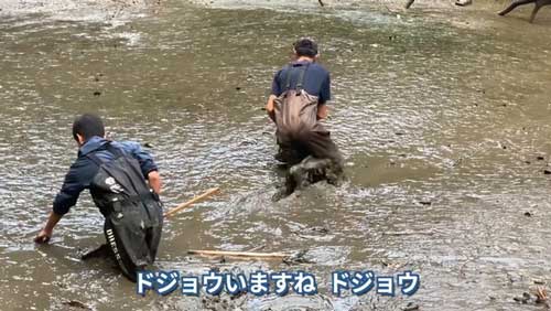 ほかの生き物たちも