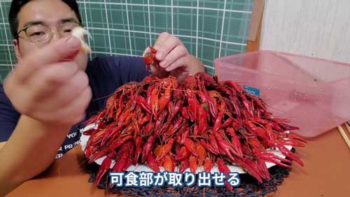 食べ方も解説しています