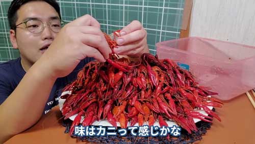 思ったより身（可食部）が大きくておいしそうです……！