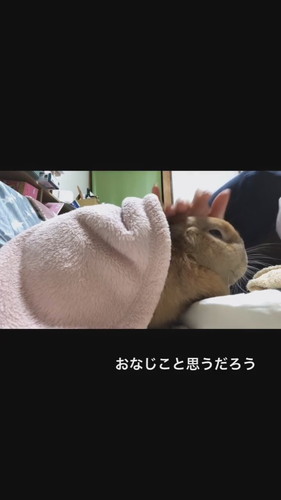 ふまるくん