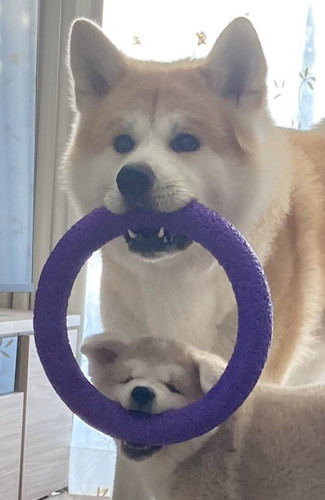 大吉くんと幸ちゃん