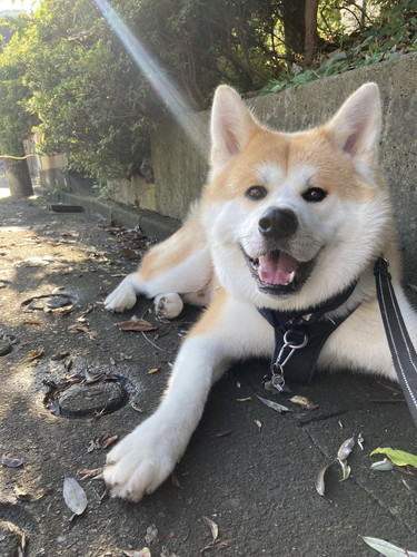 大吉くんと幸ちゃん