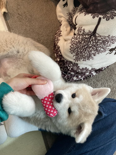 大吉くんと幸ちゃん