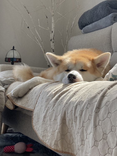 大吉くんと幸ちゃん