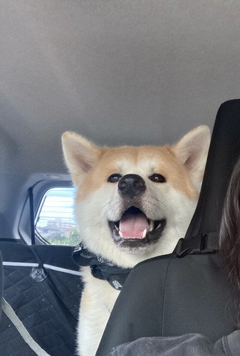 大吉くんと幸ちゃん